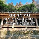 수원-1836 | 전남 강진 여행 다산초당 정약용의 유배지
