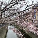 하하인터렉티브 | [도쿄 워홀] + 92일 : 도쿄 해리포터 스튜디오 후기