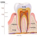 이안치과의원 이미지
