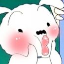 강아지 정거장 Daum카페