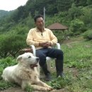 삼손농장 이미지