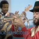 척 맨지오니 Chuck Mangione: Feels So Good 1979.03.08. 이미지