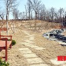 도봉-도봉-서울도봉-2113 이미지