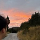 산장세탁소 | 8] 처음 버스의 맛을 본 우리. / 쥬비리에서 팜플로나의 여정, 팜플로나 알베르게 Plaza Catedral 후기