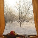 가야약국 이미지