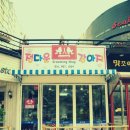 정다운애견미용 이미지