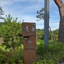 대영스크린골프 - 광산구 임방울대로 552 | [골프치자] 충북 충주 대영힐스cc 3부 라운딩 후기