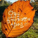 만추의 여운, 10월의 끝자락 이미지
