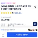 경장금 | 월부후기 2편 - 10.15 대책 피해가는 경장인 경매강의