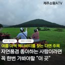 남원읍-117 | 제주이색체험 찾는다면 소랑ATV 액티비티 이용정보 및 코스내용 후기