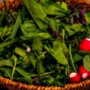 파리바게트 방이시장점 이미지