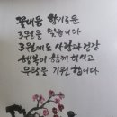 꽃내음 이미지