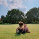 수리수리 마수리 매직쇼 이미지