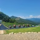 토라공인중개사사무소 이미지