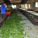 태양농장 이미지