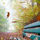 태양당안경점 이미지