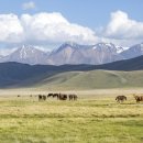 안녕, 중앙아시아 이미지