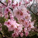 향기4로+향기5로 이미지