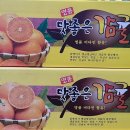 제주브릭스 이미지