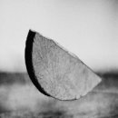 LK.소프트 이미지