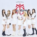 시그니처 티브이데일리