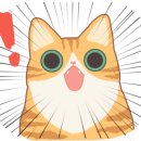 매직빨래방 이미지