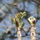 우량농장 이미지