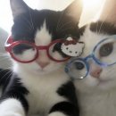 교양식사 잠실점 | [서울/2월 정산] 내 인생은 몰까?