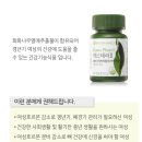 에스테라뷰티