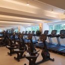 메이저피트니스 이미지