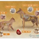 성동동물약국 이미지