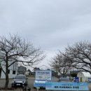 한마음직판장 | 태안 여행(한마음오션플레이스 카라반)가족여행 다녀온 후기