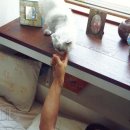 자매의하루 이미지