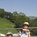 민성목장 이미지