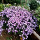 바다정원펜션 이미지