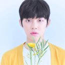 히트코인 뽑기방 이미지