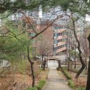 꿩고개근린공원 Daum카페