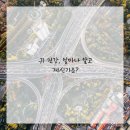 귀가편안한세상 이미지