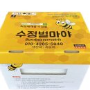 수정벌마야 이미지