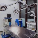 안녕동물병원 이미지