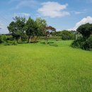 산들바람 이미지