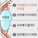 수성온유약국 이미지