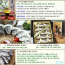 법성포 굴비 ( 장줄굴비 ) 50% 맛보기 이벤트 이미지