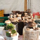 농은농장 이미지