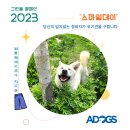 그린볼