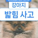 인제메디컬센터 이미지