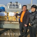 춘동3 이미지