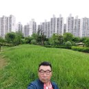 어데고당구장 Daum카페