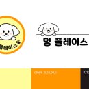 디자인펫샵 이미지