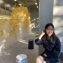 이구위드 이미지